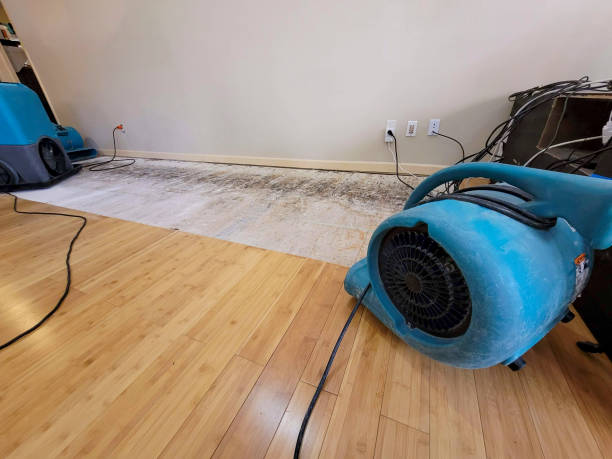 Professional Flood Damage Cleanup technician working in Grand Rapids, MN